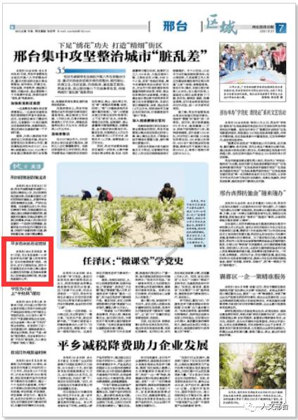 爱丽化妆教程