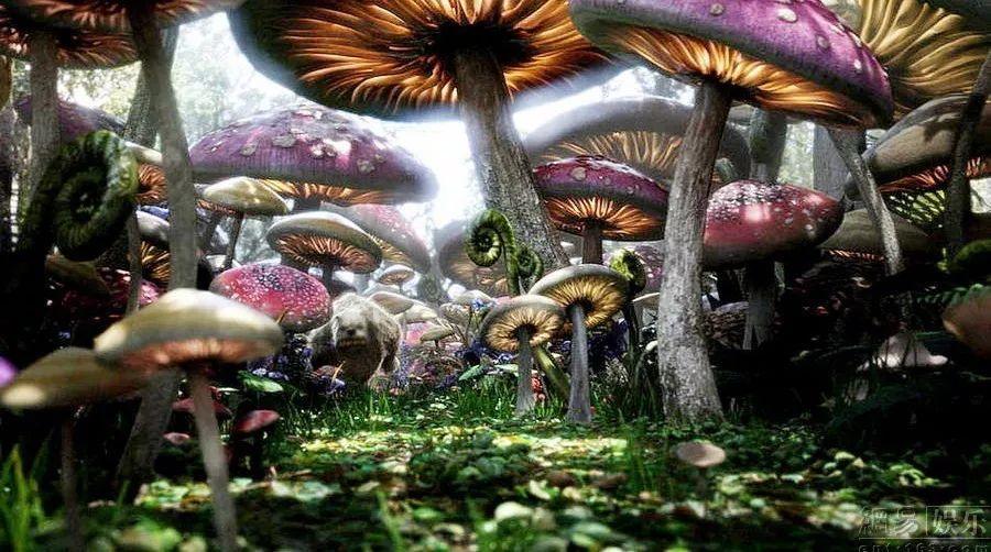 救援金刚狼